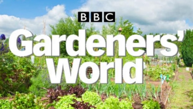 Photo 30 from Placements